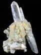 Himalayan Quartz Crystal Cluster with Chlorite Inclusions #63036-2
